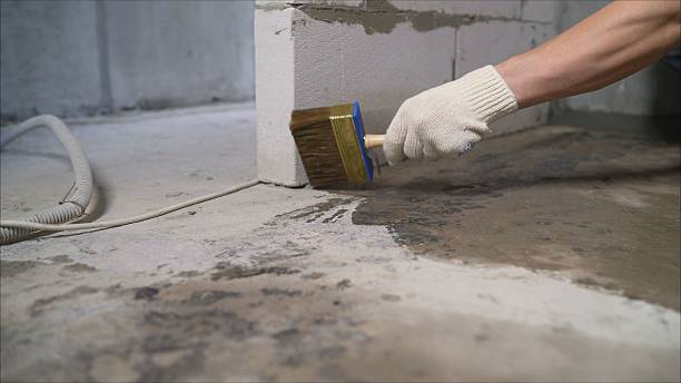 SJ Waterproofing Pros Waterproofing coverage map for Royal Oak, MI and surrounding area